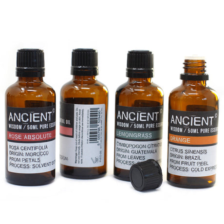 Tangerine Essential Oil 50ml - SHAMTAM.COM