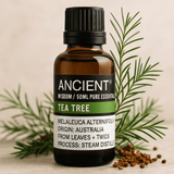 Tea Tree Essential Oil 50ml - SHAMTAM.COM