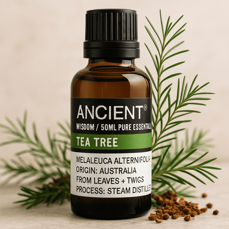 Tea Tree Essential Oil 50ml - SHAMTAM.COM