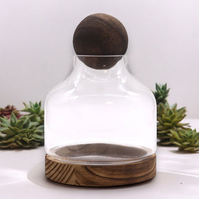 Medium Ball Top Terarium on Dark Tung Wood - SHAMTAM.COM