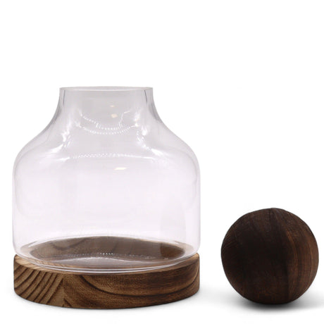 Medium Ball Top Terarium on Dark Tung Wood - SHAMTAM.COM