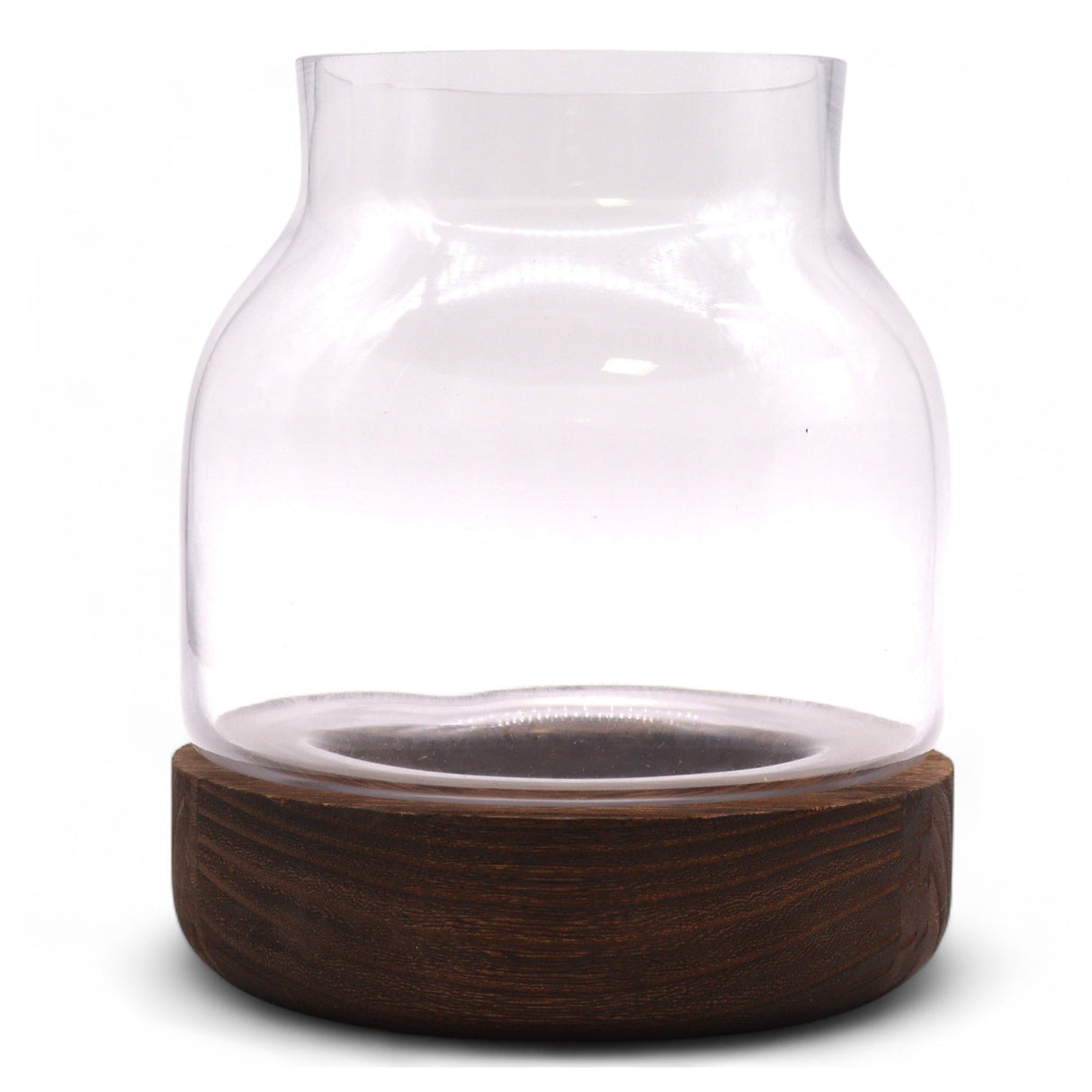 Medium Shaped Terarium on Dark Tung Wood - SHAMTAM.COM
