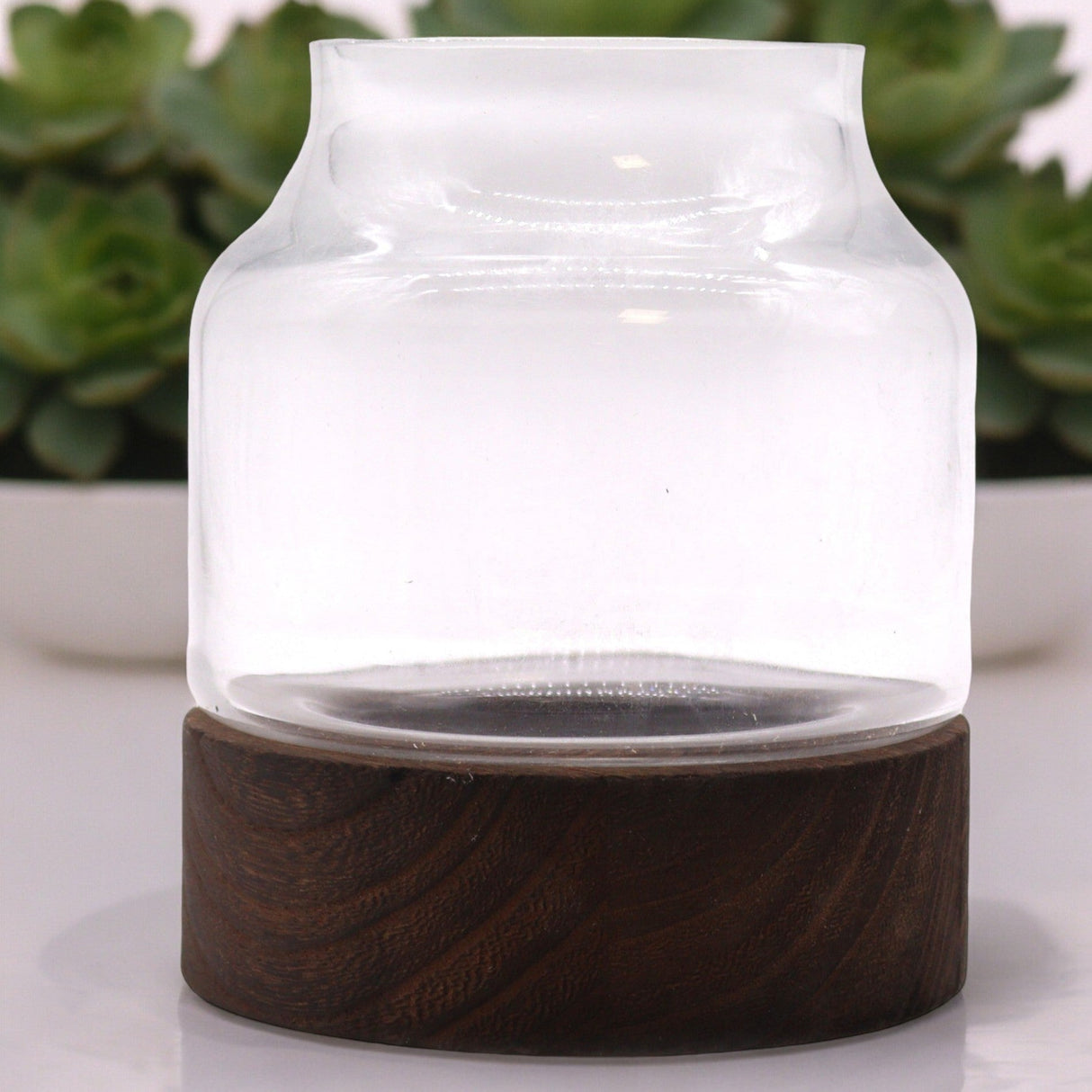 Medium Shaped Terarium on Dark Tung Wood - SHAMTAM.COM