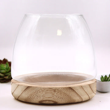 Terrarium på Naturligt Tungtræ, Mellem