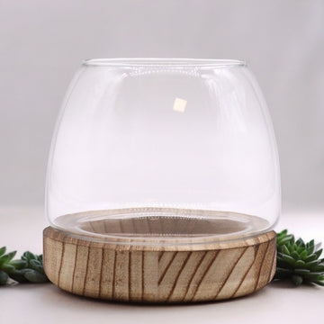 Terrarium på Naturligt Tungtræ, Lille