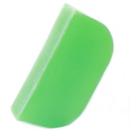 Thyme & Mint - Argan Solid Shampoo - 115g - SHAMTAM.COM