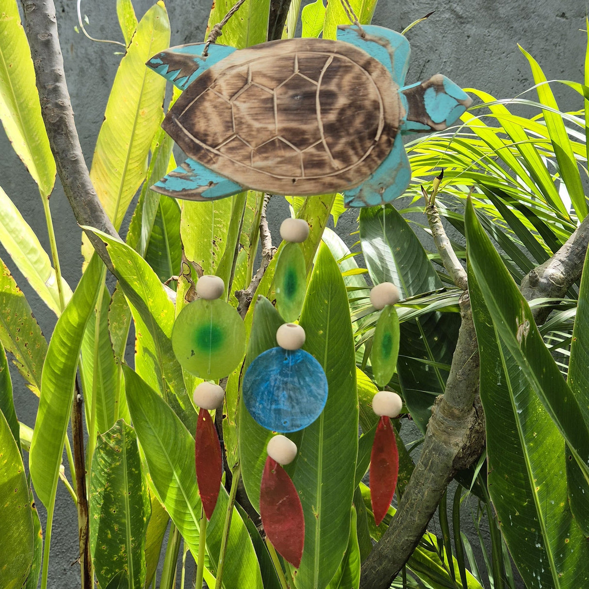 Aqua Turtle Carving and Copis Drop - SHAMTAM.COM
