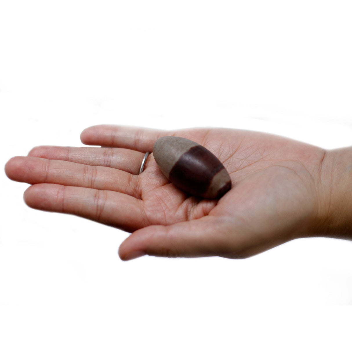 Shiva Lingam Stones - 2 Stones 2" - SHAMTAM.COM