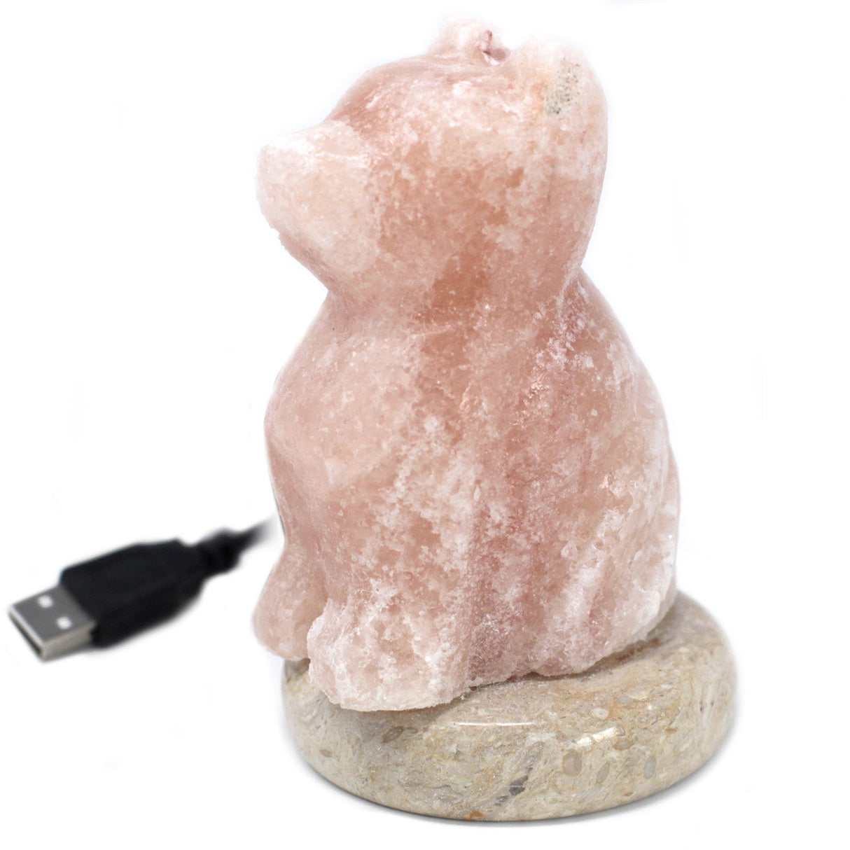 Himalayan Salt Lamp Dog USB Multicolor - SHAMTAM.COM