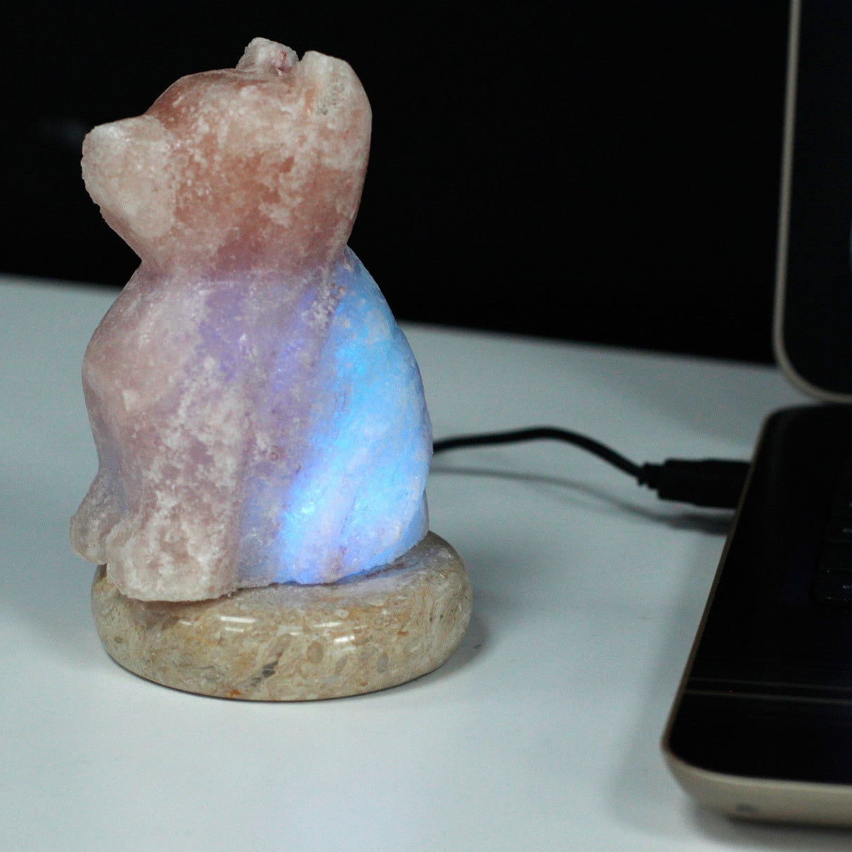 Himalayan Salt Lamp Dog USB Multicolor - SHAMTAM.COM