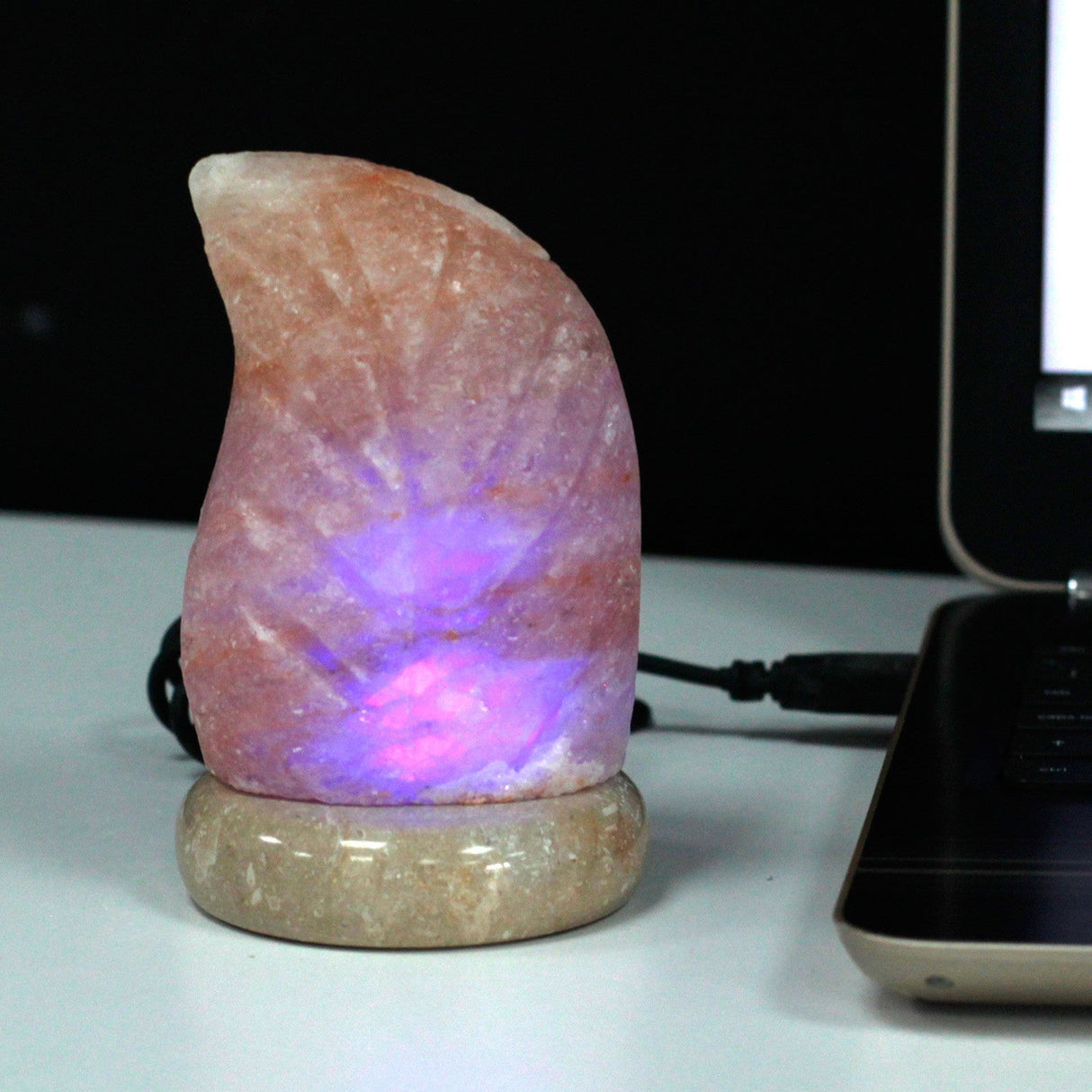 Himalayan Salt Lamp Leaf USB Multicolor - SHAMTAM.COM