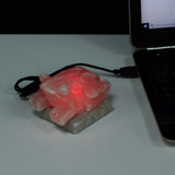 Himalayan Salt Lamp Toad USB Multicolor - SHAMTAM.COM