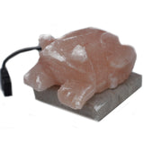 Himalayan Salt Lamp Toad USB Multicolor - SHAMTAM.COM