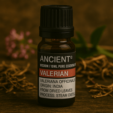 Olio essenziale di radice di valeriana 10ml aromaterapia