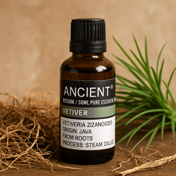 Vetiver Ätherisches Öl Dampfdestilliert 50ml