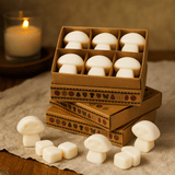 Wax Melts White Musk, Box of 6 - SHAMTAM.COM