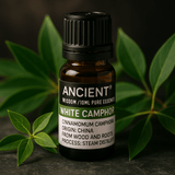 White Camphor Essential Oil 10 ml - SHAMTAM.COM