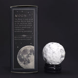 White Howlite Planet on a Sola Goldstone Stand (MOON) - SHAMTAM.COM