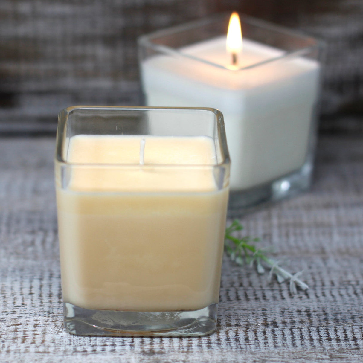 White Label Soy Wax Jar Candle - Grapefruit & Ginger - SHAMTAM.COM