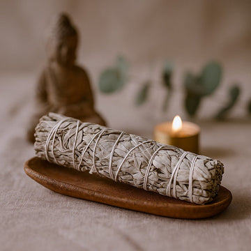 White Sage Smudge Stick 22.5 cm