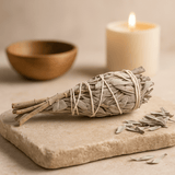 White Sage Smudge Stick Torch 10cm - SHAMTAM.COM