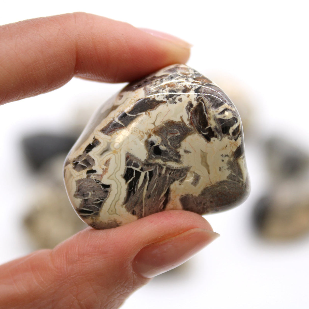 Silverleaf Jasper Tumbled Stones XL - SHAMTAM.COM