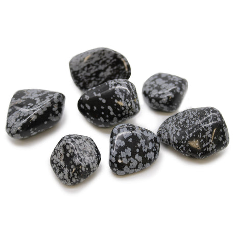 Obsidian Snowflake Tumbled Stones XL - SHAMTAM.COM