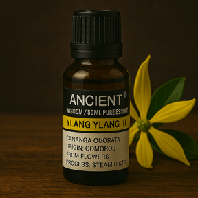Ylang Ylang Essential Oil 50ml - SHAMTAM.COM
