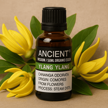 Olio essenziale di ylang ylang biologico distillato a vapore 50ml