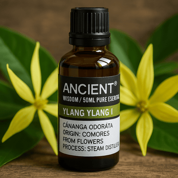 Ylang Ylang Essential Oil Steam Distilled 50ml