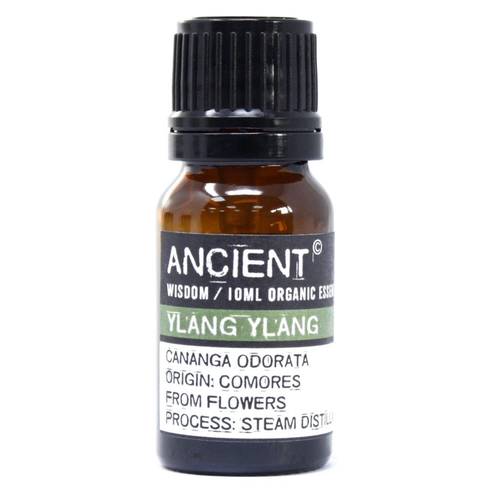 Ylang Ylang Essential Oil Organic 10ml - SHAMTAM.COM