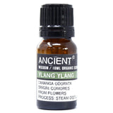 Ylang Ylang Essential Oil Organic 10ml - SHAMTAM.COM